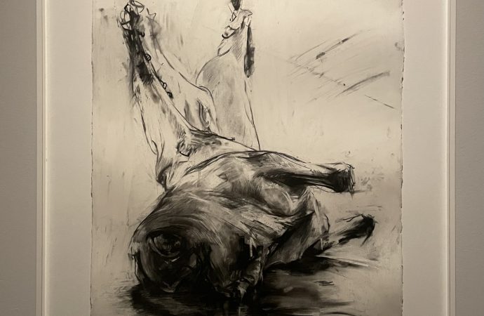 Studio di carcassa, Jenny Seville, G. Belfiori